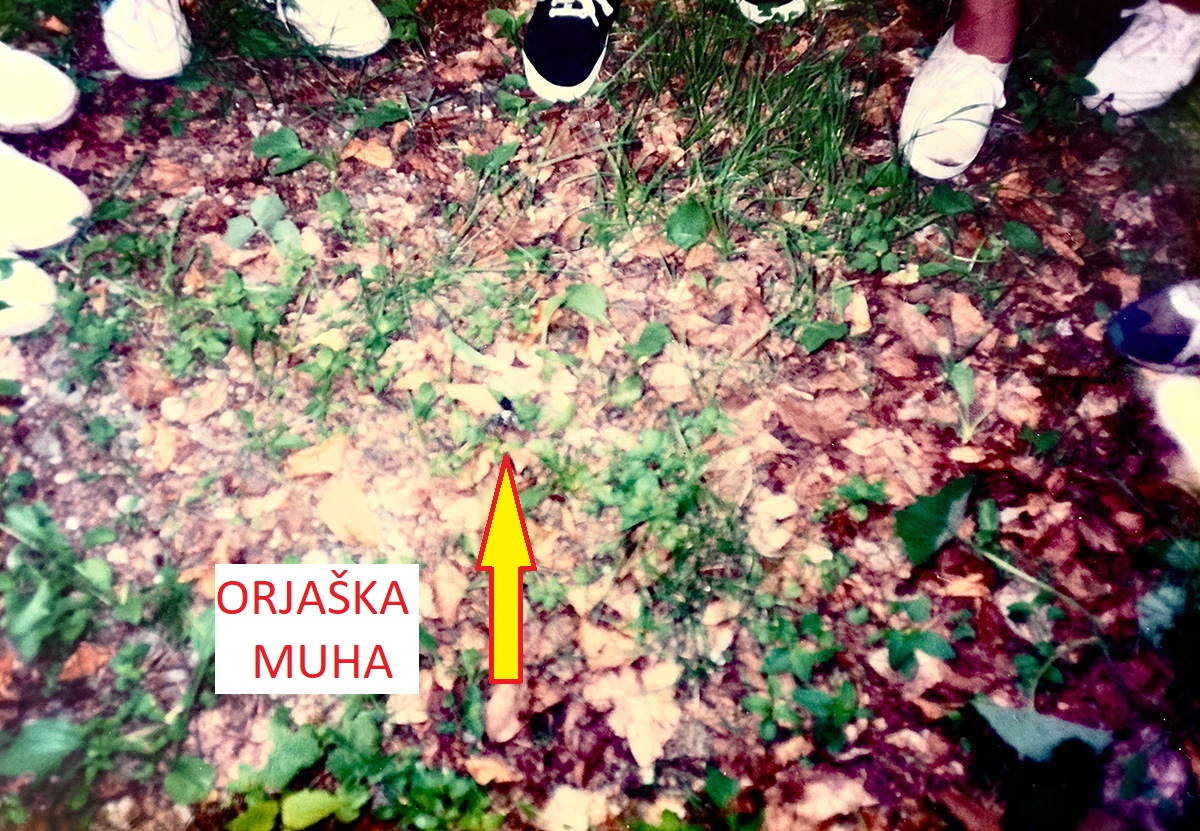 fotografiranje začetki